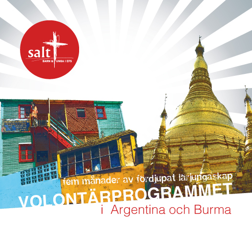 Volontärprogrammet-2013