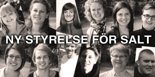 Ny-styrelse-för-Salt-2013
