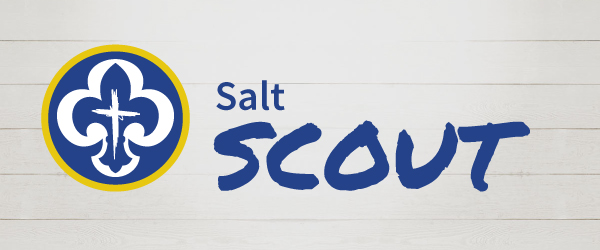 Salt Scout