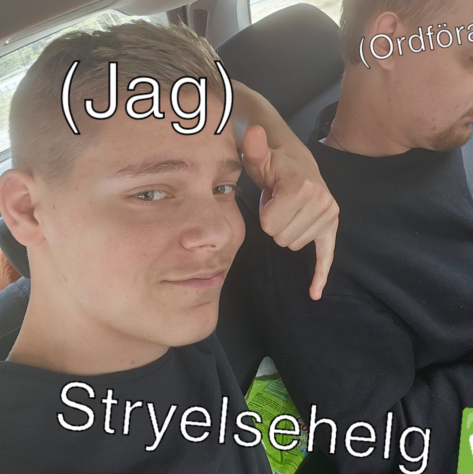 Joel Simonsson : Ledamot Salts styrelse